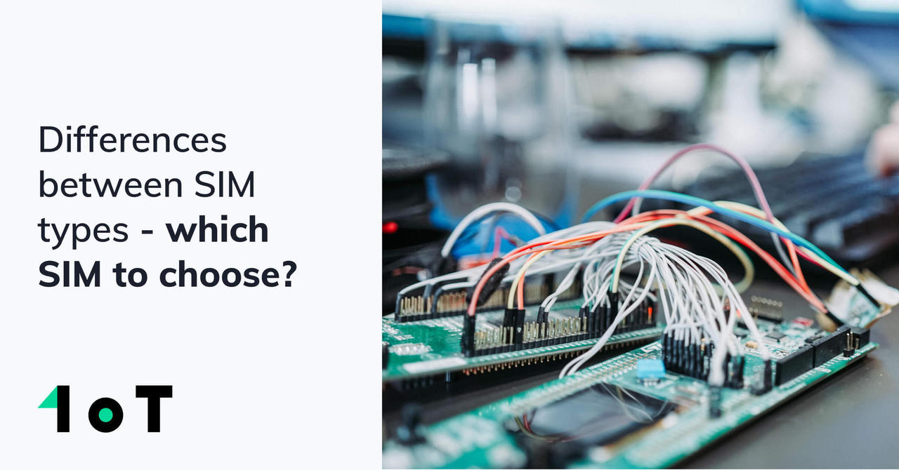 Differences between SIM types which SIM to choose? — 1oT Global
