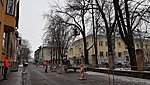 puude langetamine Tallinnas