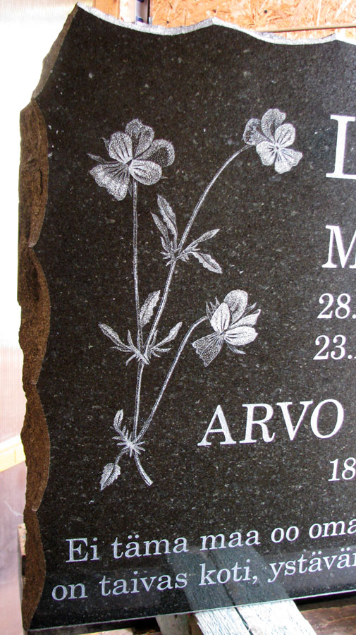 Foto kandmine kivile. Aaskannikesed.