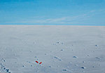 „Igav jää ja lumeväli“ Õlivärvid lõuendil, 100x70x2 cm. Et vaadata endasse, tuleb esmalt harjuda tühjusega enda ümber. MÜÜDUD kunstioksjonil Tartus.