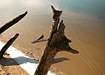 Ievgeniia Kupchan, Lines.Life, 2026. Land art performance, digital photography. Zaporizhzhia, Ukraine