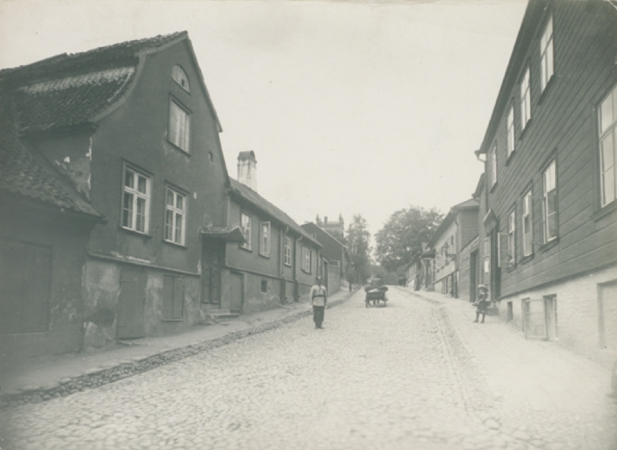 Benedykt Dybowski Country of origin: Poland Photo: Johannes Pääsuke. Estonian National Museum,ERM Fk 349:193