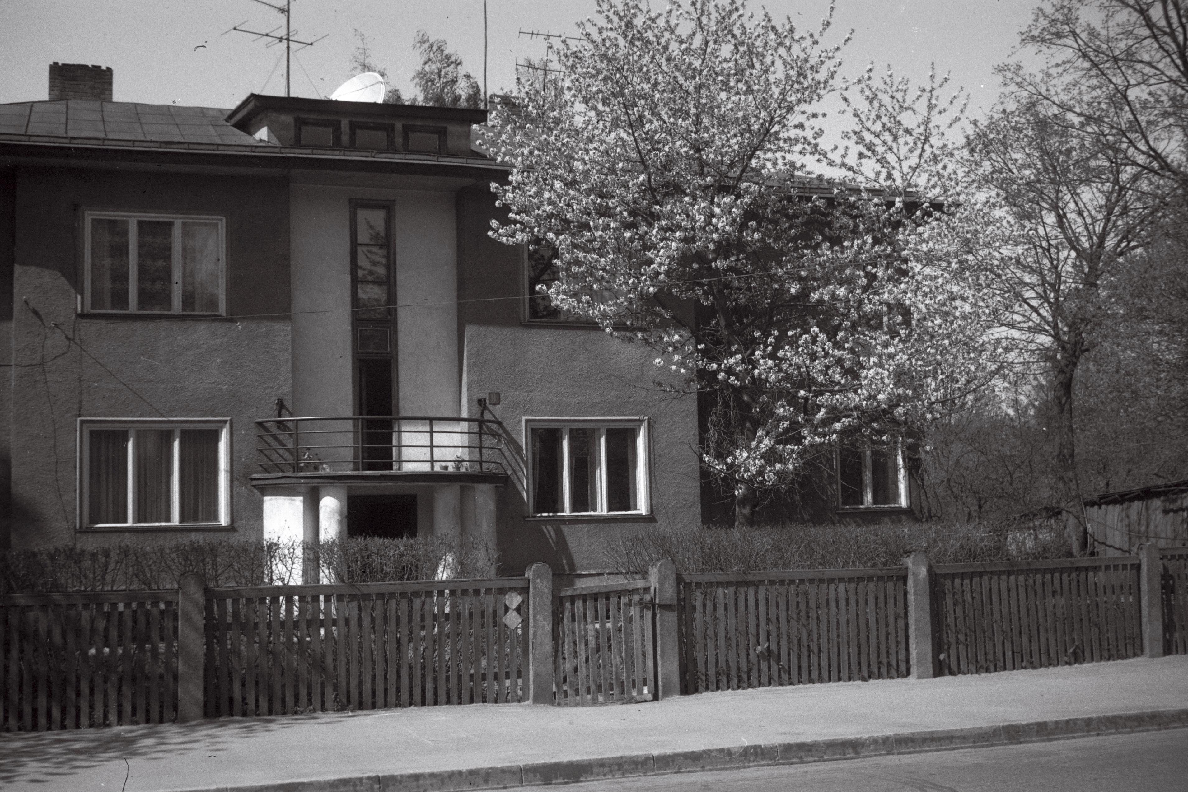 Isidor Levin Country of origin: Latvia Photo: National Archives, EFA.333.0.153960