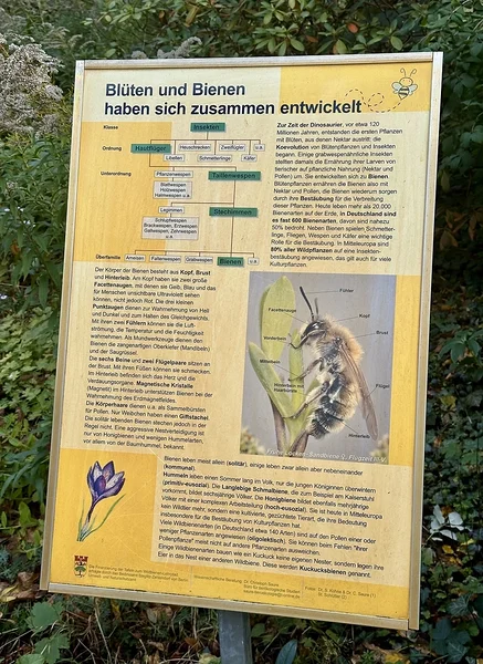 Infostendid