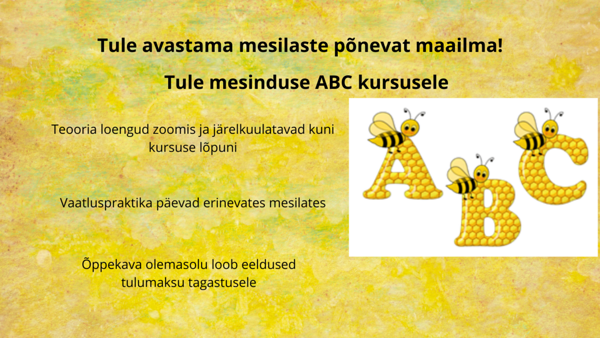 mesinduse ABC kursus