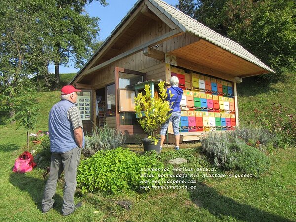 Sloveenias mesilas - maaelureisid
