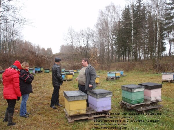 Eesti mesinikud kuulsaima Valgevene mesiniku Dima juures - maaelureisid
