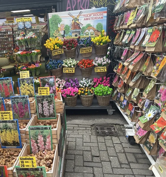 lILLETUIRG Amsterdamis - MAAELUREISID
