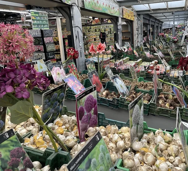 Lilleturg  Amsterdamis - MAALEUREISID