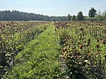 Latgale piirkonda Maaelureisidega