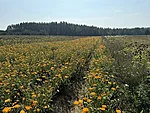 Latgale piirkonda Maaelureisidega