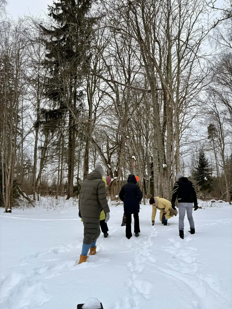 Foto: Ly Läänemets