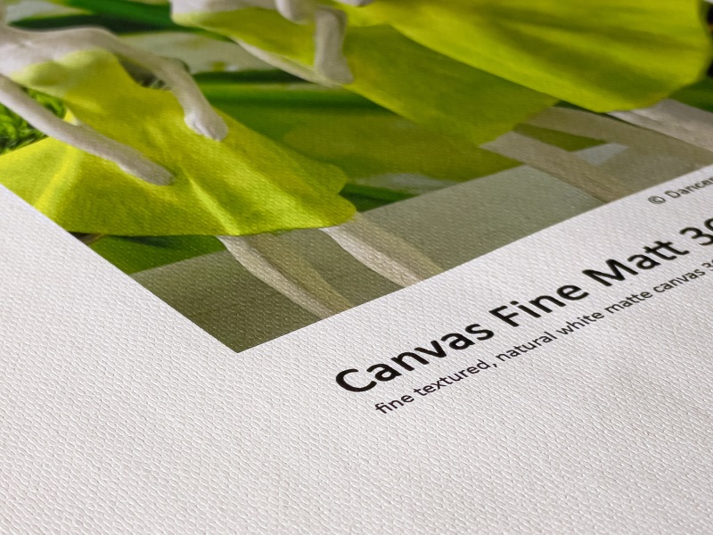 Fine Art lõuendi trükk Fomei Canvas Fine Matt 360