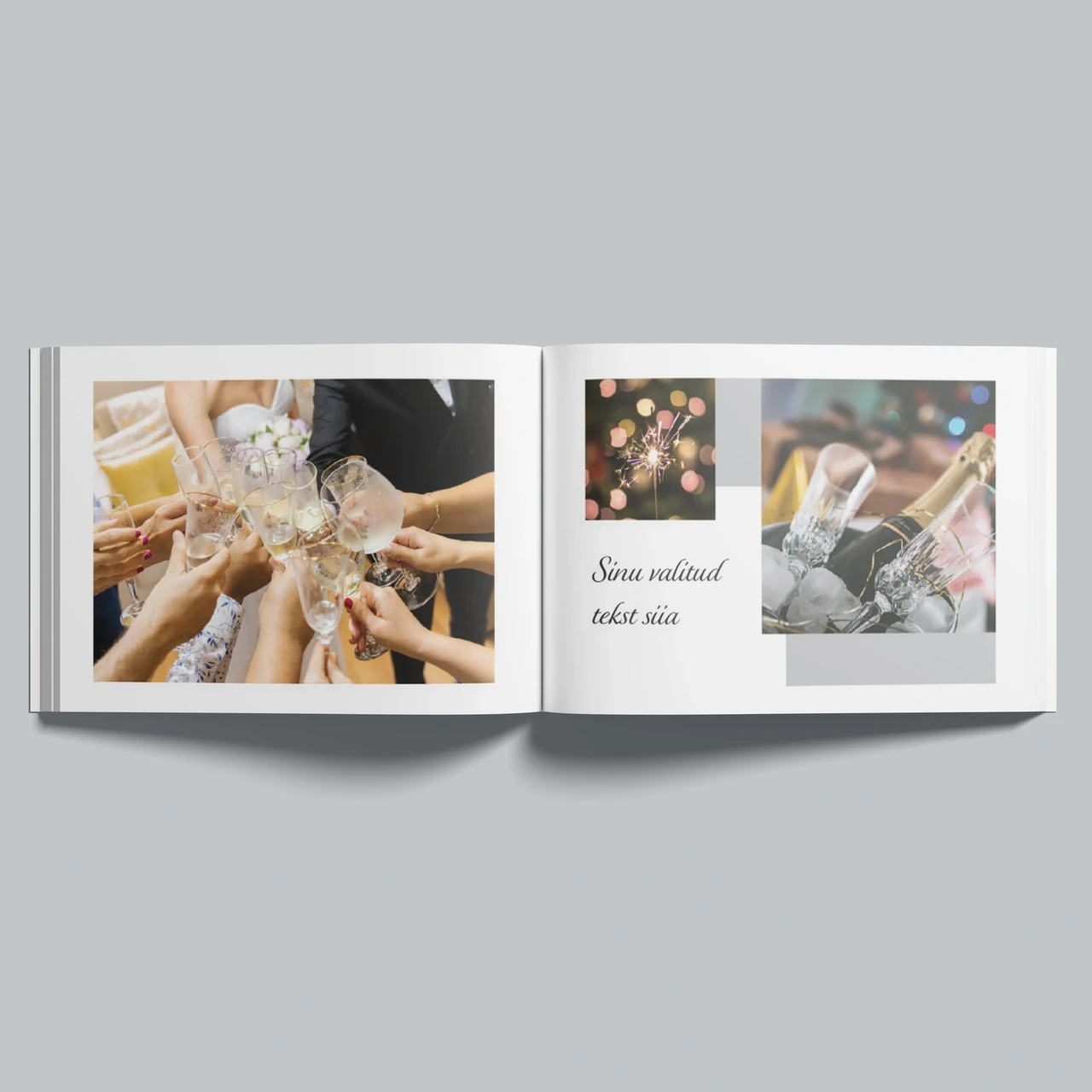 Retro  fotoraamat FM2