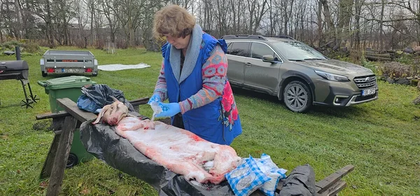 Kuidas ma elus esimest korda kitsenahka parkisin, osa 1