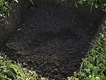 Tõsta väljakaevatud muld eraldi aiakärusse või muule alusele. Sõelu muld läbi. Eemalda mullast umbrohi ja sega mullale juurde COMBO. Raske savimulla korral lisa liiva, suhe 1:1:1 (muld-istutusmuld-liiv).