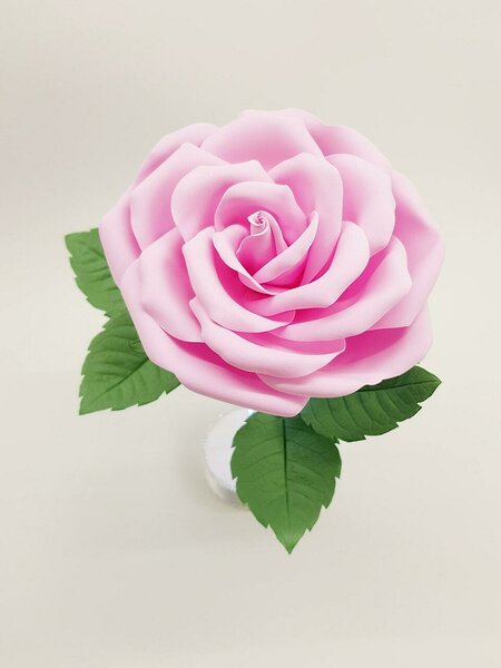 Roosa foamist roos, õie läbimõõt 16 cm