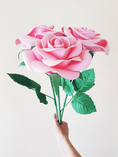 Suured roosid kinkimiseks, õis 17 cm