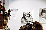 Marylin Piirsalu näitus “Karu uni” R galerii foto: Eesi Raa