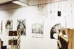 Marilyn Piirsalu näitus “Karu uni” R galeriis foti: Eesi Raa