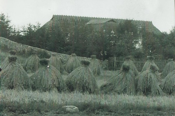 Iisaka talu 20. sajandi alguses