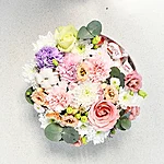 Dsc 0419