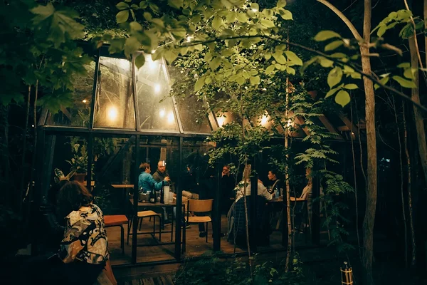 Greenhouse in the Botik garden