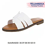 Tellimisega j 266 (1)