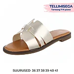 Tellimisega j 266 (3)