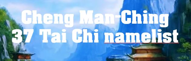 Cheng Man-Ching 37 Tai Chi namelist