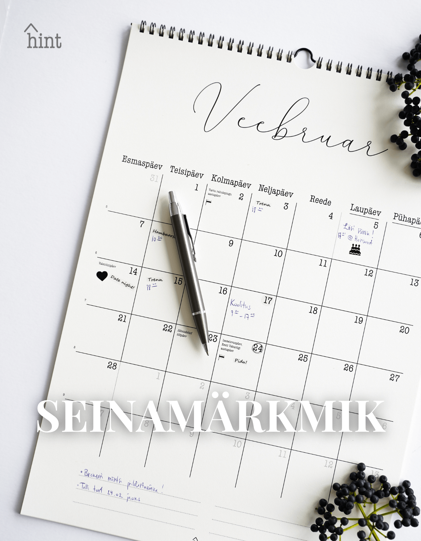 Seinamärkmik 2027