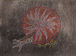 stitching 6 - placenticeras, sashiko thread on inked canvas, 21x28cm