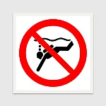 Iso 7010 p051 2