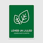 Lehedjalilled 1