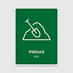 Pinnas 1