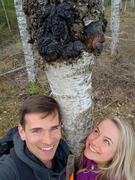 Suurimat naudingut tunneme, kui saame käia looduses - eelkõige metsas. Kõige esimesed chagadki (mustad pässikud) on juhuslikult leitud just energiaretkedelt oma kodu metsadest.