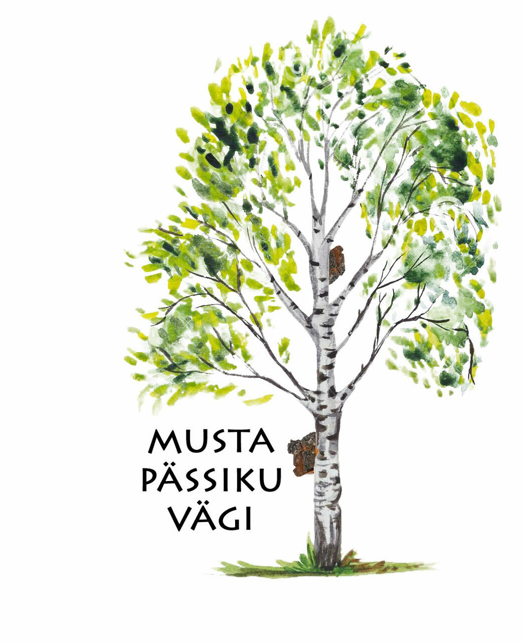 Musta Pässiku Vägi - Kasepuu