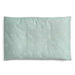 Ergopouch toddlerpillow case sage toddler pillow sage 2000x2000 a6726e5b 6fca 4fe7 97c9 a409677fd81b