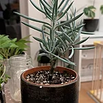 Pxl 20260212 161608440.mp