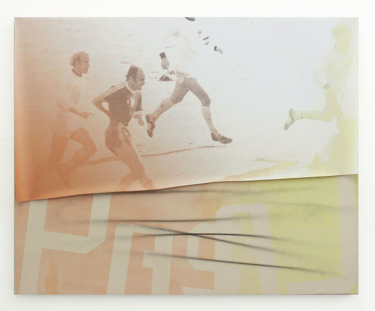 Pase La, 2014, acrylic on canvas, inkjet print on vinyl, 48 x 60 inches
