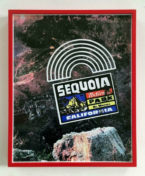Sequoia National Park, 2018, archival inkjet print, custom frame, 20 x 16 inches