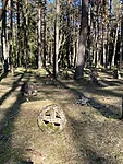 Vormsi rõngasristid