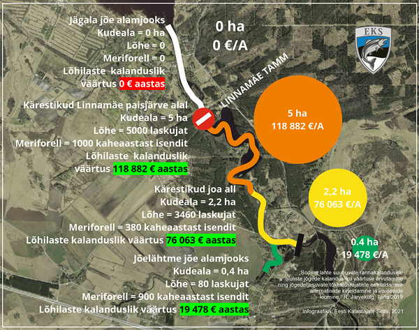 Infograafika, millest selgub, et Jägala jõe alamjooksu lõhilaste potentsiaal, kui tamm avada, on väga suur