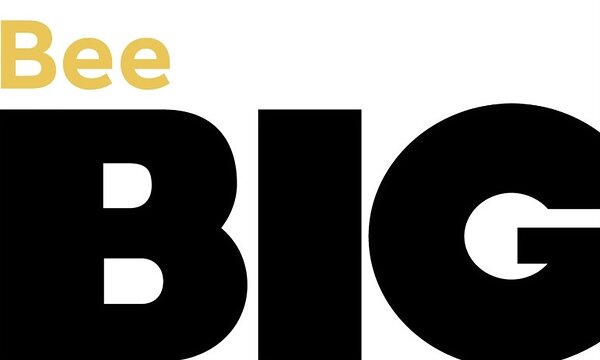 seo seadistamine ja seo audit