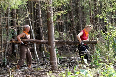 Swedbank'i töötajad talgutel Soomaa rahvuspargis. August 2010
