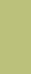 F3007 Pale Olive (vastab NCS - S 3020-G60Y)