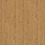 R5195 Pippy Oak