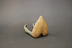 Dsc 0222 2