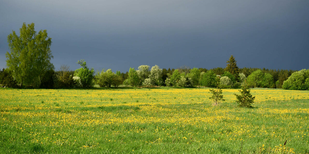 Esileht – Lahemaa