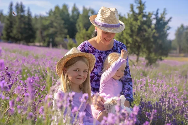 Hiiumaa Lavendlitalu
